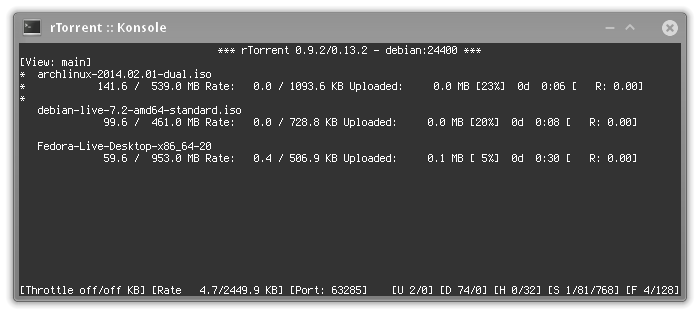 Best Raspberry Pi Torrent Clients - rtorrent raspberry pi