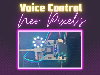 Neo Pixels Voice Control