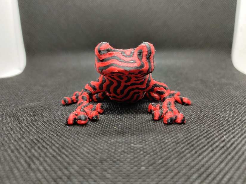 flashforge creator pro 2 3d printer review - tree frog front