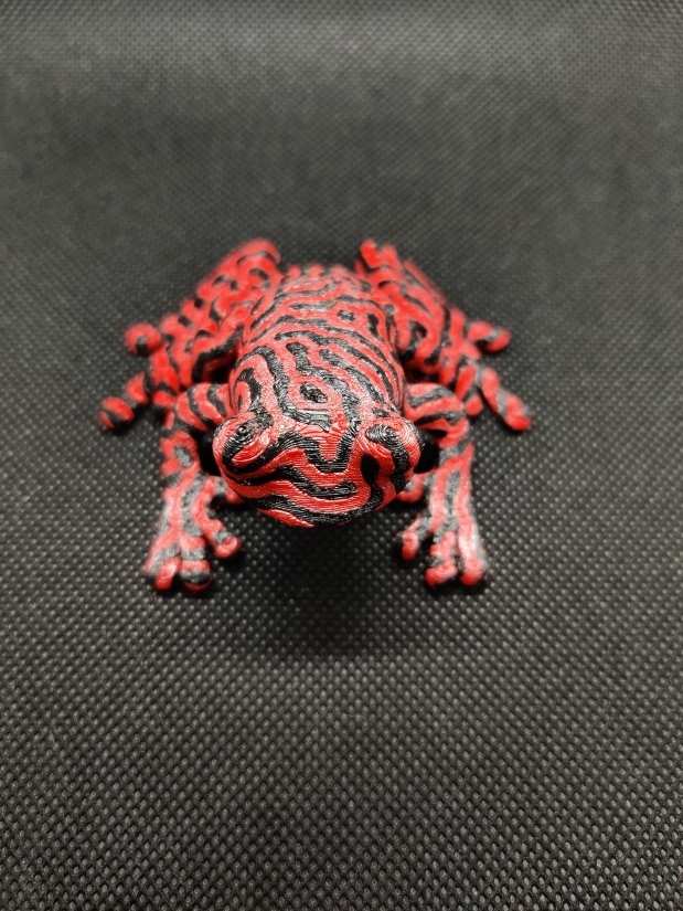 flashforge creator pro 2 3d printer review - dart frog middle