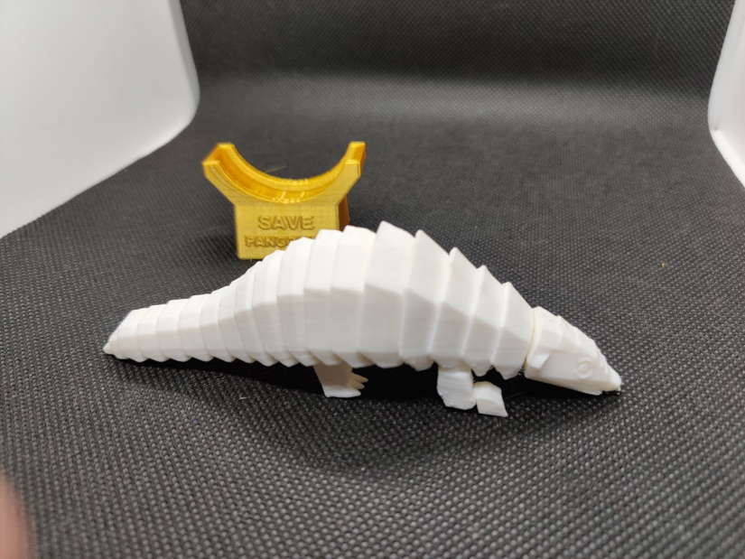 Flashforge Creator Pro 2 3D Printer Review - pangolin