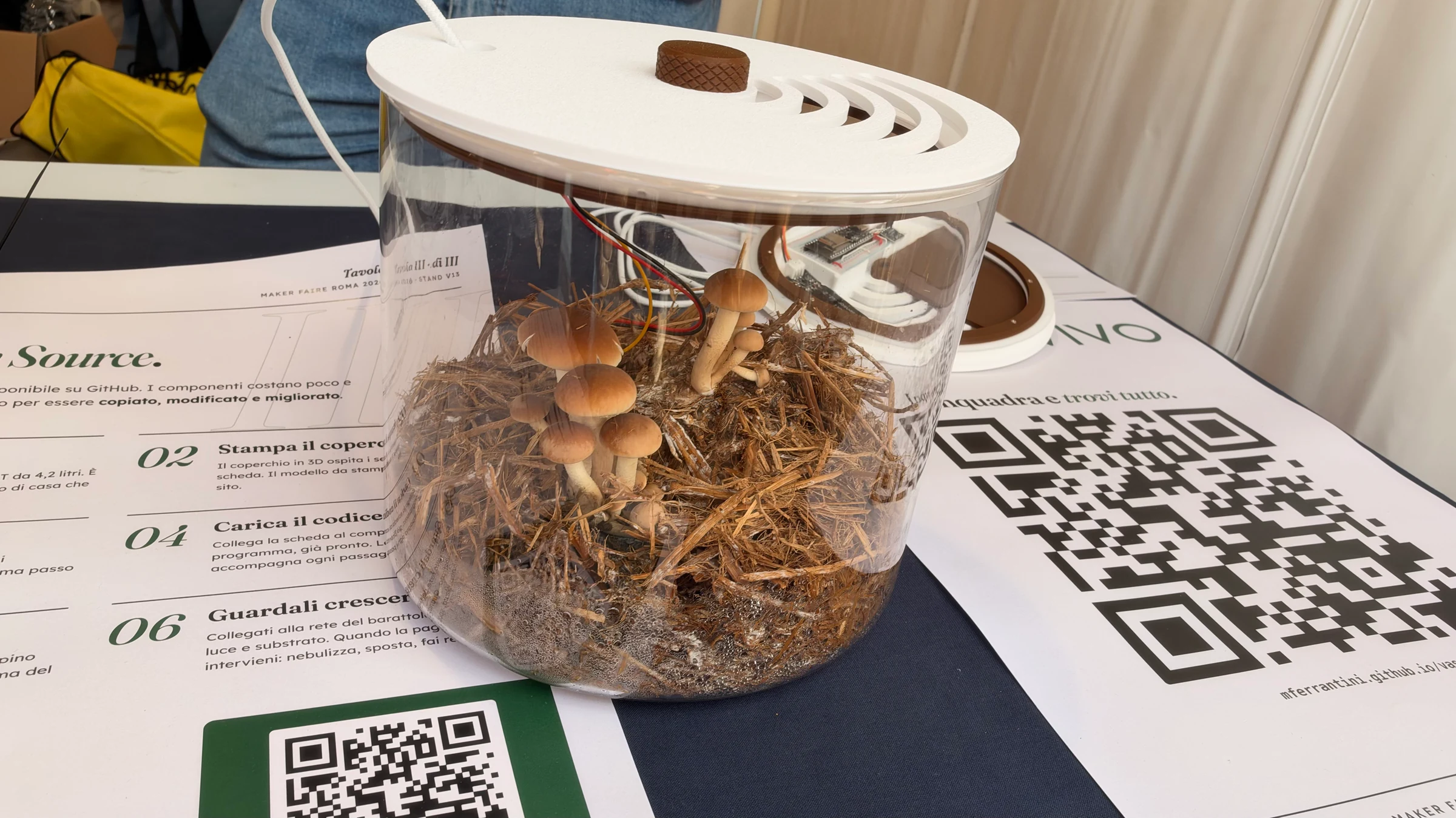 Mushrooms growing in a clear VasoVivo jar filled with substrate beneath a white sensor-equipped lid.