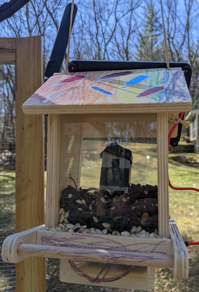Solar-power bird feeder camera!