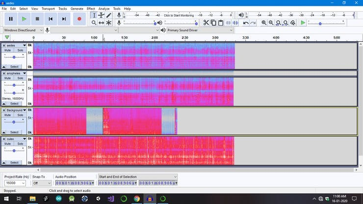 Audacity used for deleting all those areas in audio where there is noise or not pure insect sound.