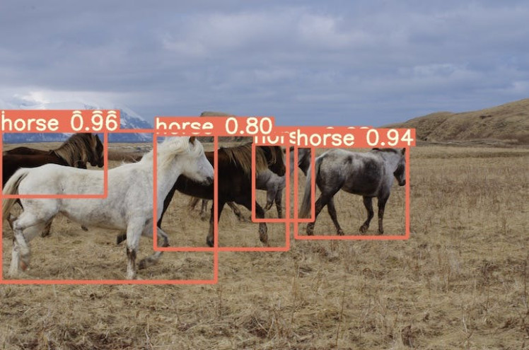 Example of object detection on test images