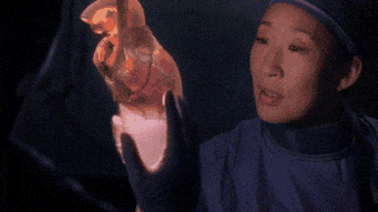 (Images from the internet)