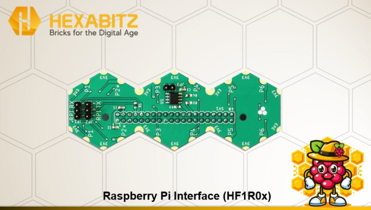Raspberry Pi Interface (HF1R0x)