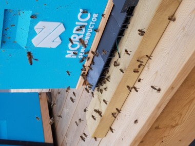 Smart Hives: Beehaviour Monitoring