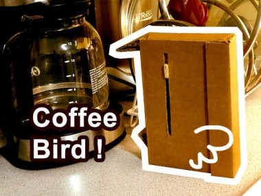 Coffee Bird!