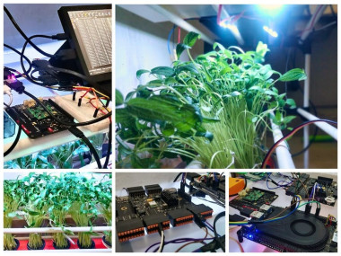 Cellular Automated Hydroponics System With Blues& Qubitro